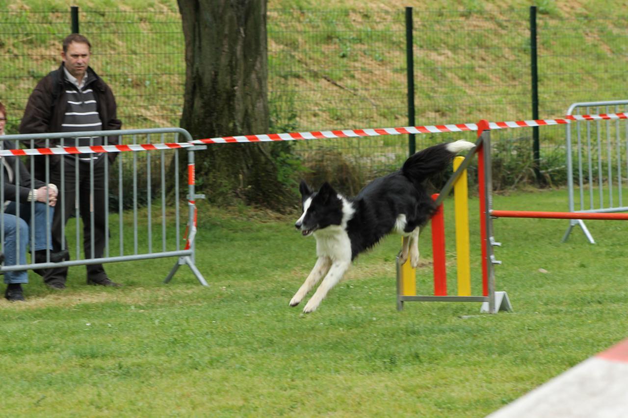 Agility
