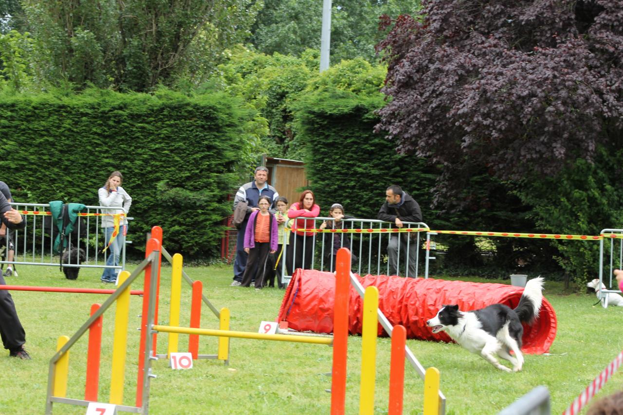 Agility