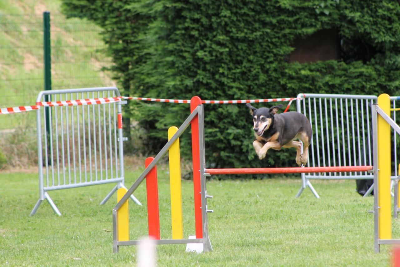 Agility