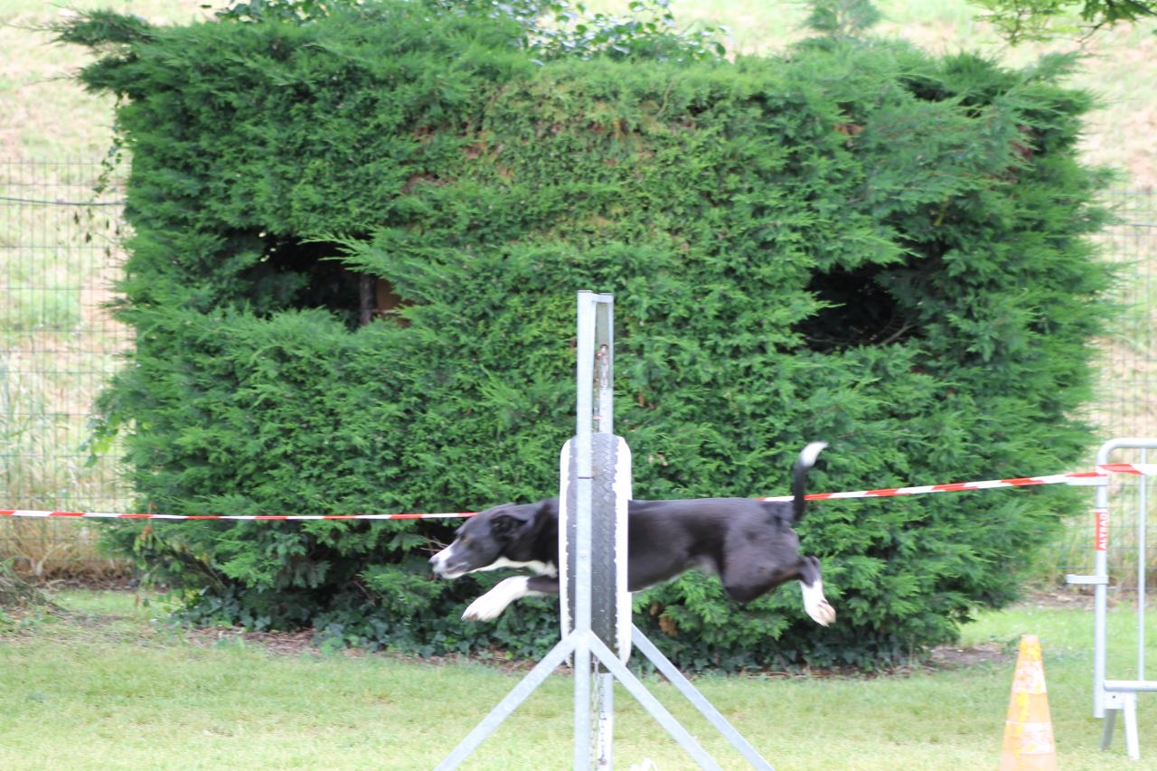 Agility