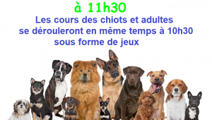 Affiche ag 2027