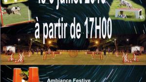 Concours d'agility en nocturne