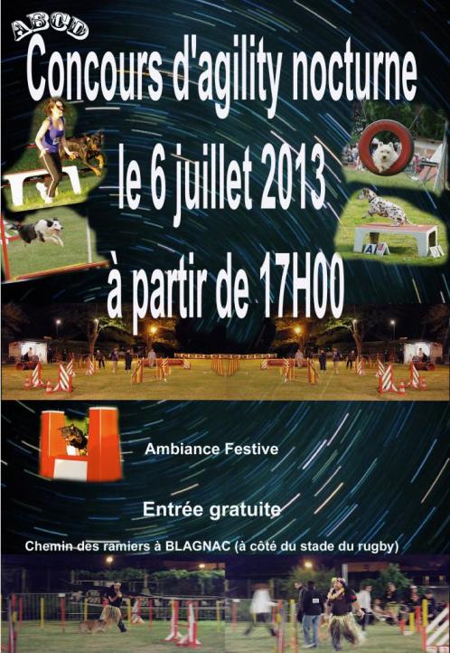 Concours d'agility en nocturne