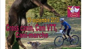 affiche-frisbee-cross-canin-2013.jpg