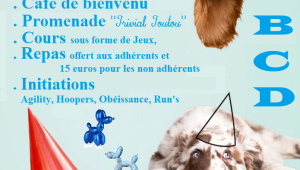 Affichefdc