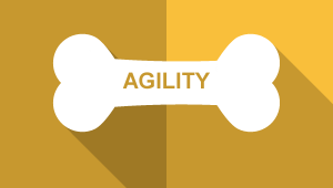 Agility 2