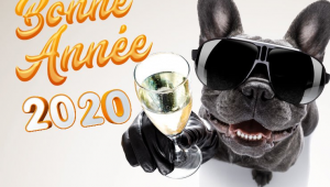 Bonneannee20