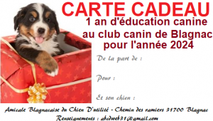 Carte cadeau 1