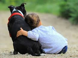 Prévention Accident Chien Enfant