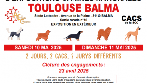Expo balma