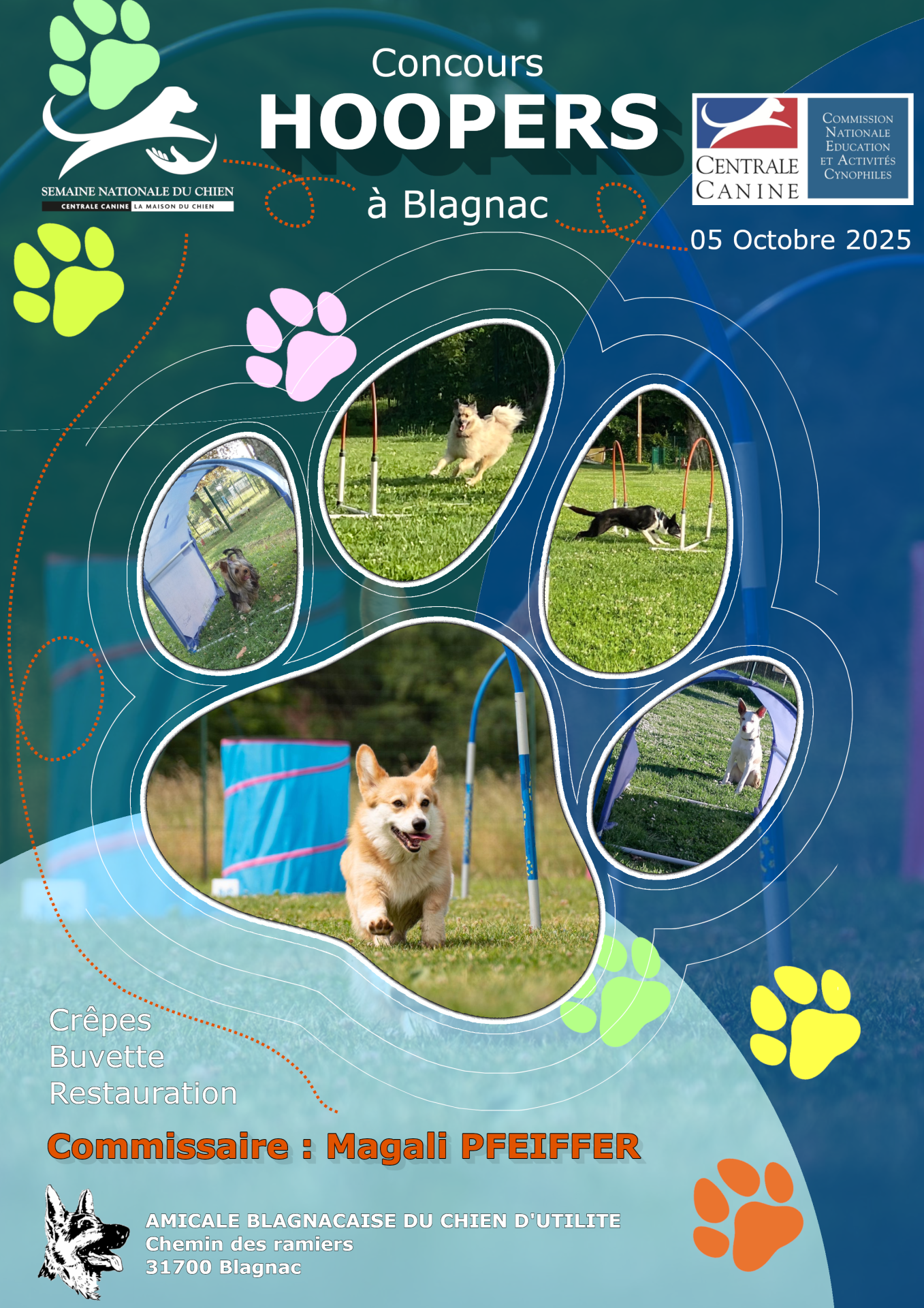 Affiche concours 2025