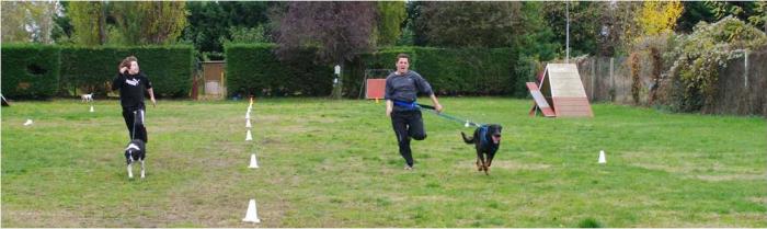Rapid Cani