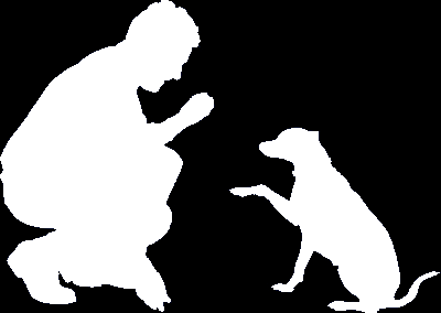 Formation Moniteur en éducation canine