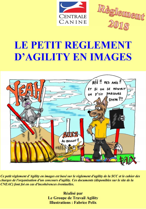 Rgt agility